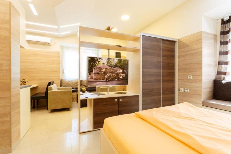 Apartman Uzor ソコバニャ エクステリア 写真